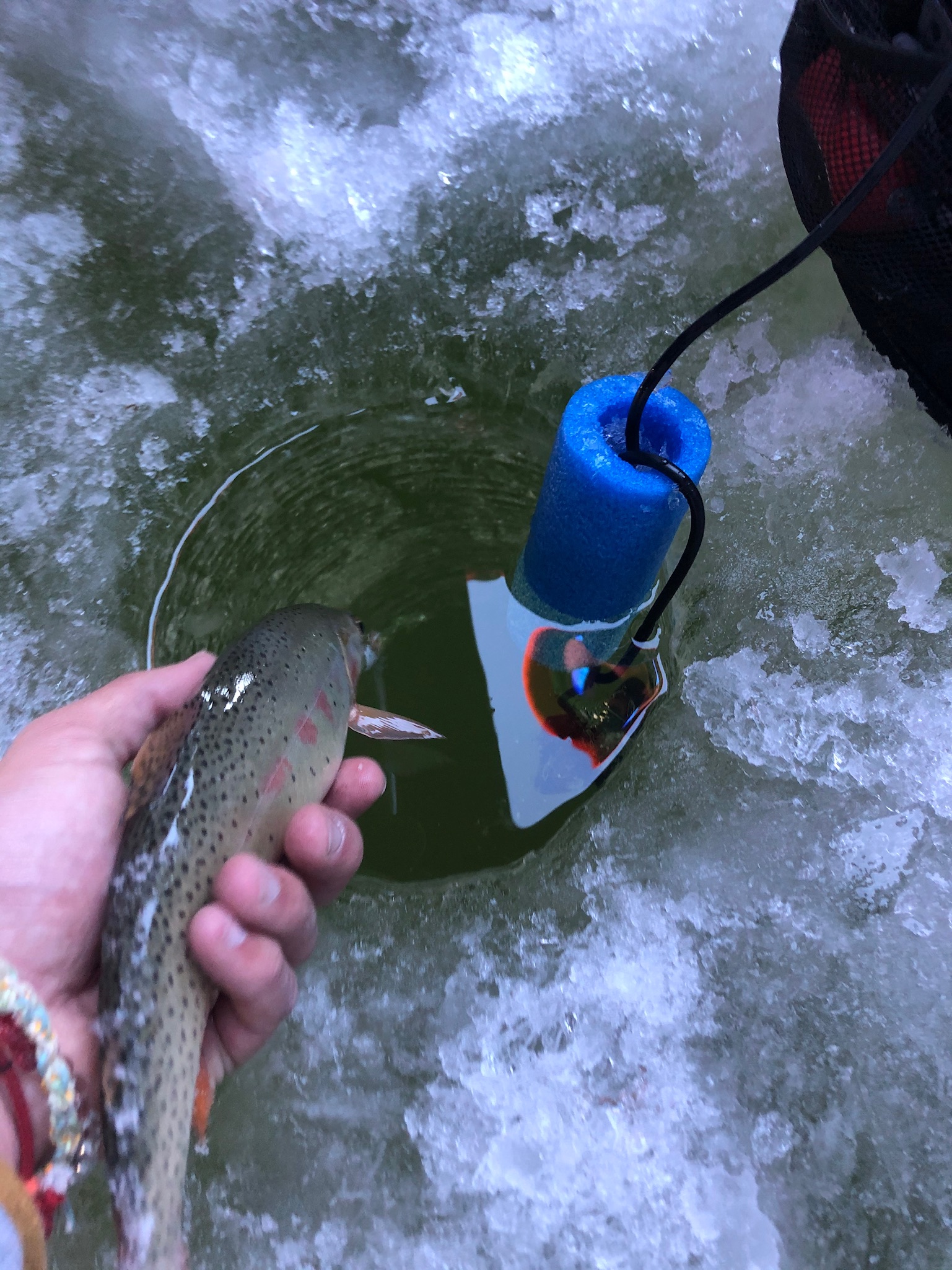 Yellowstone Country Chronicles - Jan. 9, 2021 - Fishing Hog Point! -  Sweetwater Fly Shop