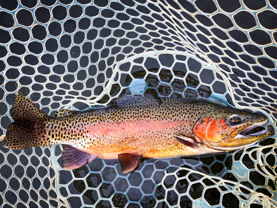 Sweetwater Fly Shop - We do fly fishing right!